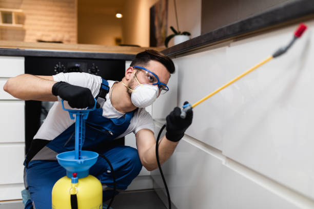 Best Exterminator Services  in Greenacres, CA