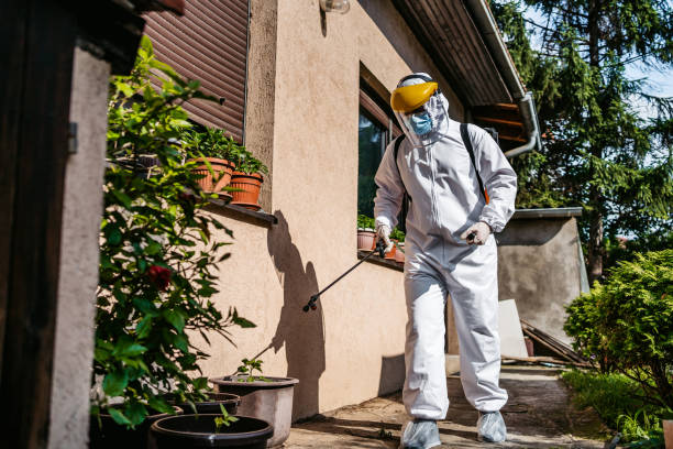 Best Best Pest Control Companies  in Greenacres, CA
