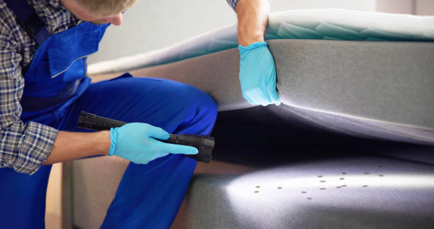 Best Best Pest Control Companies  in Greenacres, CA