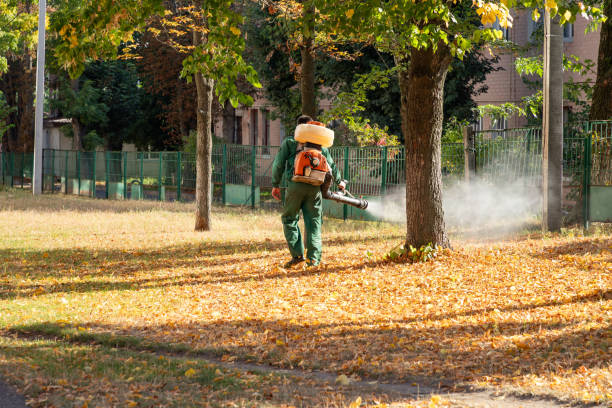 Best Pest Removal Services  in Greenacres, CA
