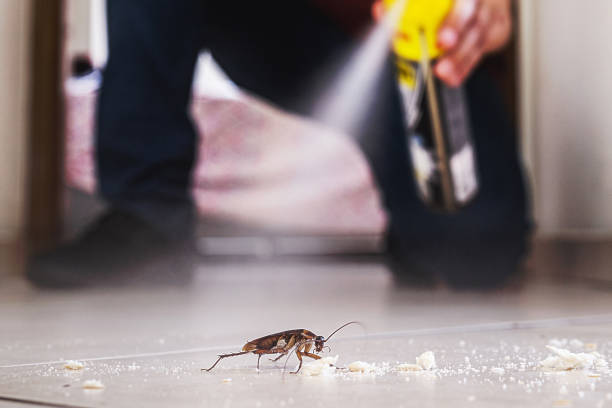 Best Cockroach Control Services  in Greenacres, CA