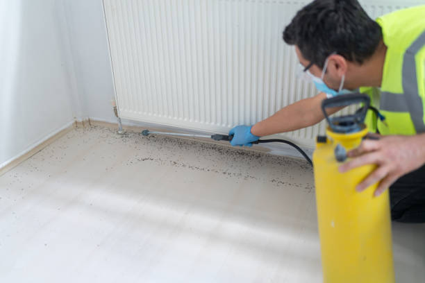 Best Insect Control  in Greenacres, CA