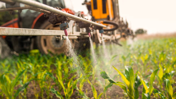 Best Ant Control Services  in Greenacres, CA